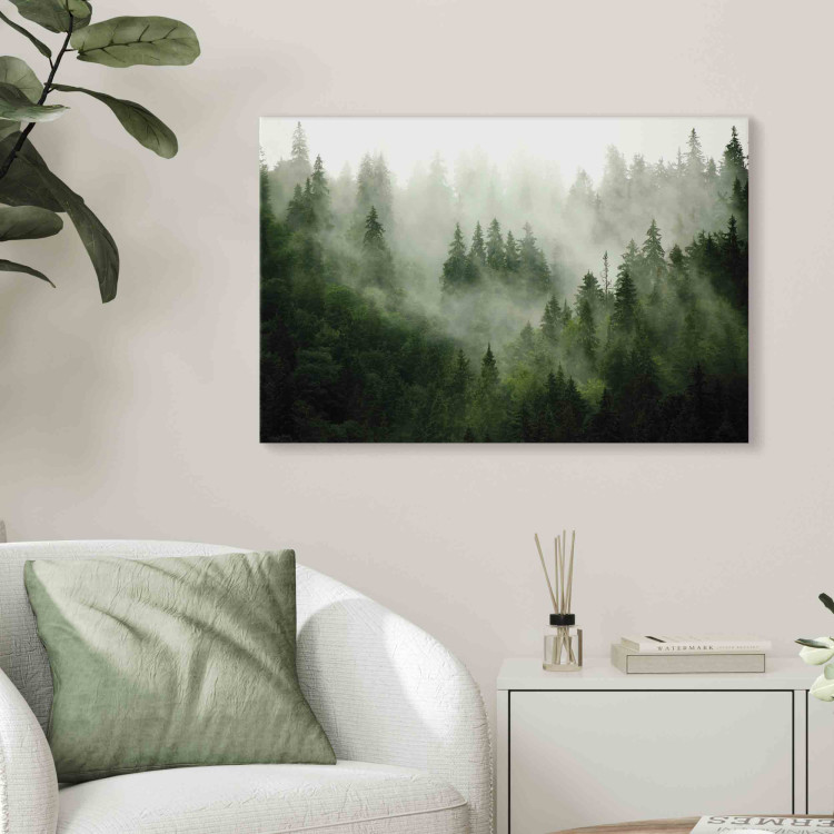 Canvas Print Mountain Forest - View of Green Coniferous Trees Covered With Fog 151202 additionalImage 8
