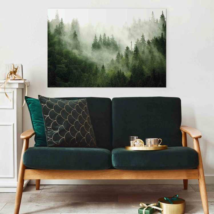 Canvas Print Mountain Forest - View of Green Coniferous Trees Covered With Fog 151202 additionalImage 4