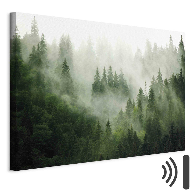 Canvas Print Mountain Forest - View of Green Coniferous Trees Covered With Fog 151202 additionalImage 7