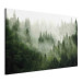 Canvas Print Mountain Forest - View of Green Coniferous Trees Covered With Fog 151202 additionalThumb 2