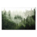 Canvas Print Mountain Forest - View of Green Coniferous Trees Covered With Fog 151202
