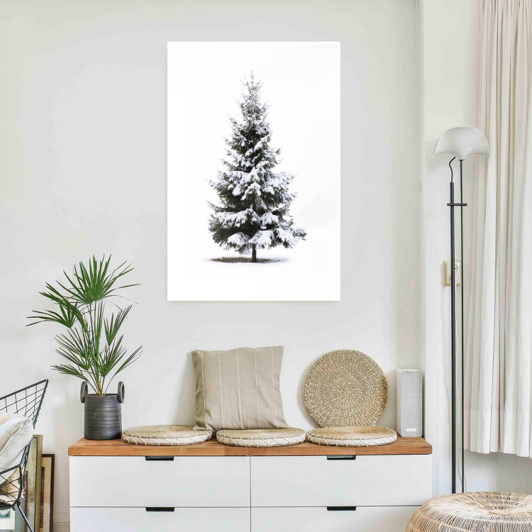Poster Winter Tree - Spruce Covered With Snow on a White Solid Background 151702 additionalImage 15
