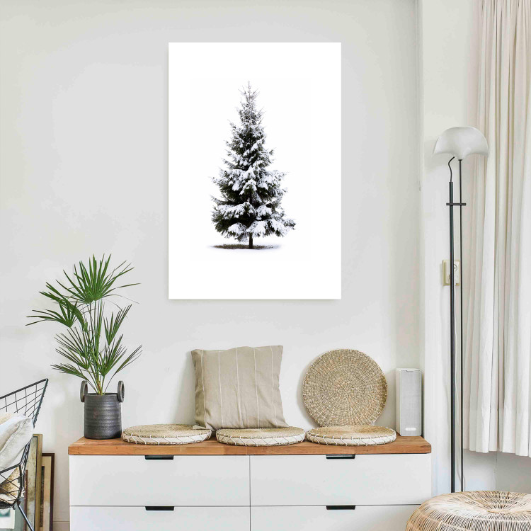 Poster Winter Tree - Spruce Covered With Snow on a White Solid Background 151702 additionalImage 2