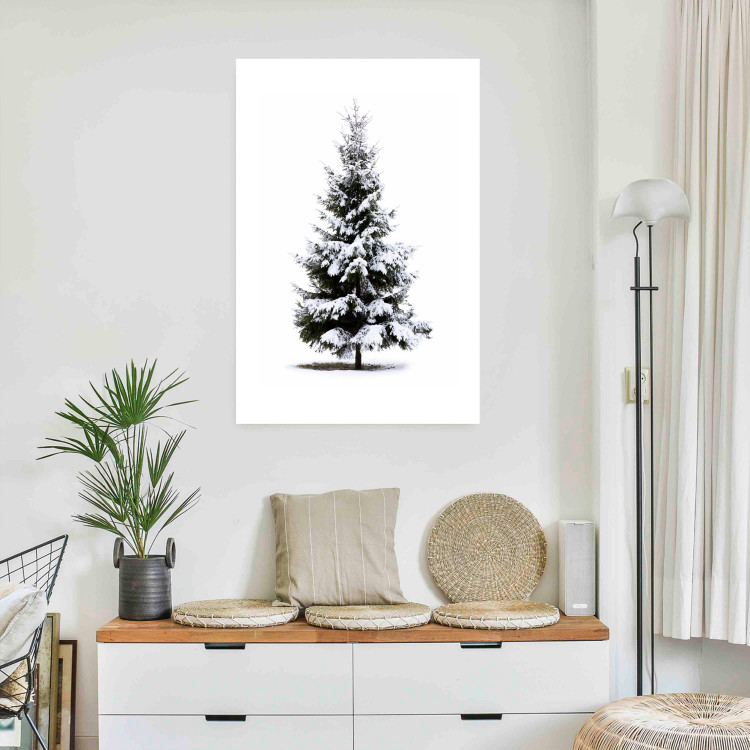 Poster Winter Tree - Spruce Covered With Snow on a White Solid Background 151702 additionalImage 4