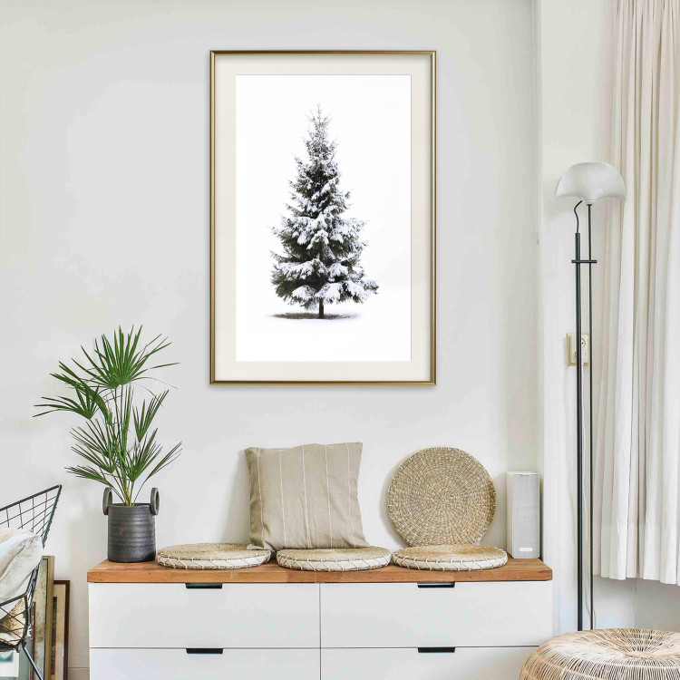 Poster Winter Tree - Spruce Covered With Snow on a White Solid Background 151702 additionalImage 5