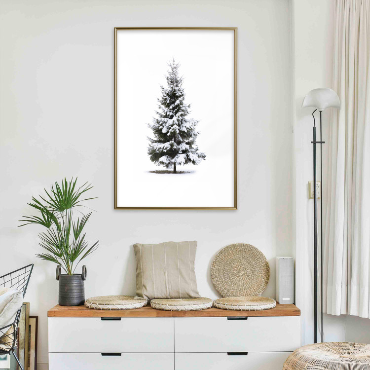 Poster Winter Tree - Spruce Covered With Snow on a White Solid Background 151702 additionalImage 16