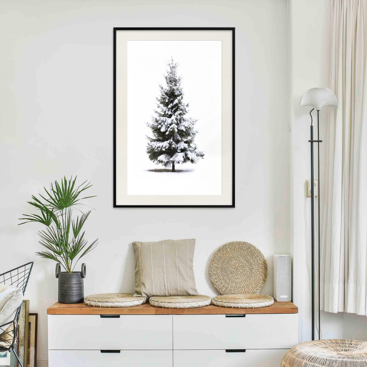 Poster Winter Tree - Spruce Covered With Snow on a White Solid Background 151702 additionalImage 20