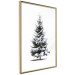 Poster Winter Tree - Spruce Covered With Snow on a White Solid Background 151702 additionalThumb 8