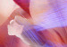 Canvas Tulips of Love (3-piece) - Close-Up of Colorful Spring Flowers 92702 additionalThumb 5