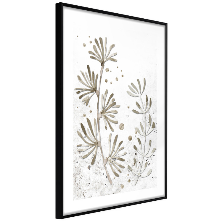 Poster Curved Branches - delicate leaves on a background with muted colors 116412 additionalImage 11