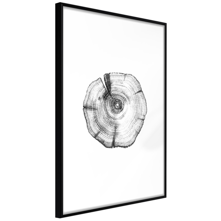 Poster Tree Bark - black and white simple composition with a plant motif 116612 additionalImage 11