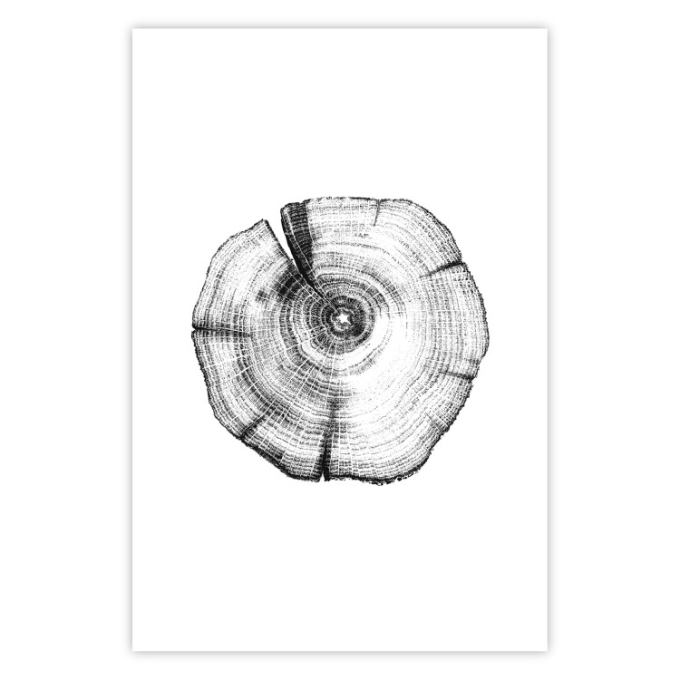 Poster Tree Bark - black and white simple composition with a plant motif 116612