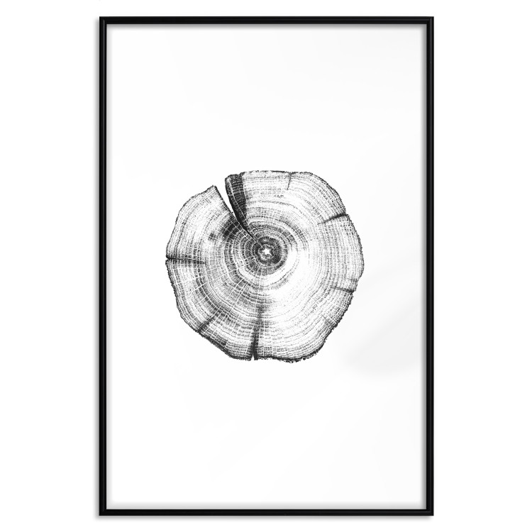Poster Tree Bark - black and white simple composition with a plant motif 116612 additionalImage 17