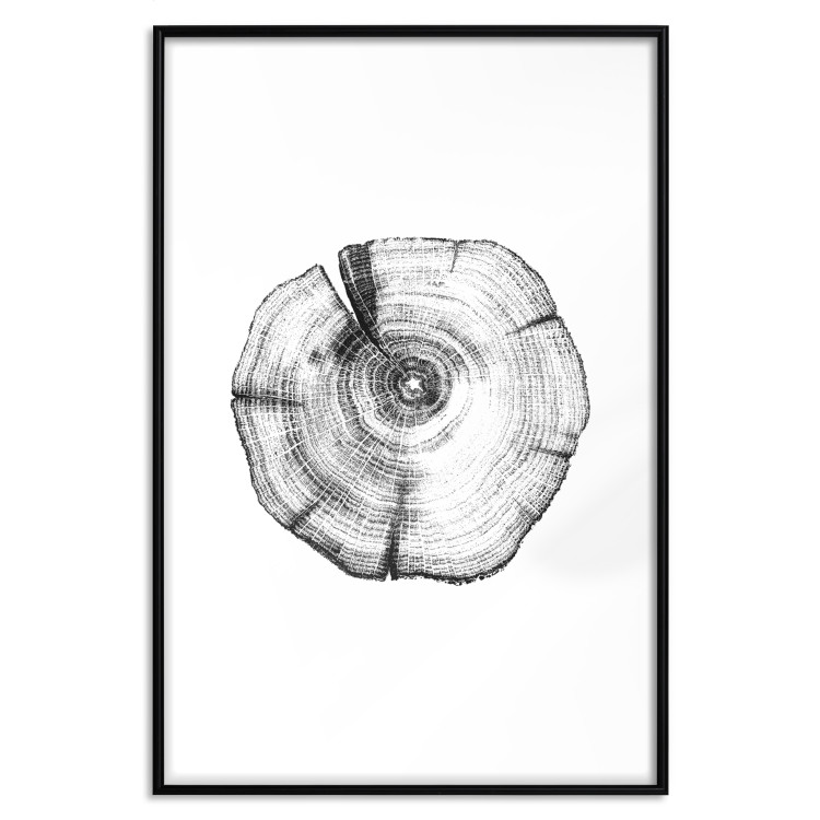 Poster Tree Bark - black and white simple composition with a plant motif 116612 additionalImage 15