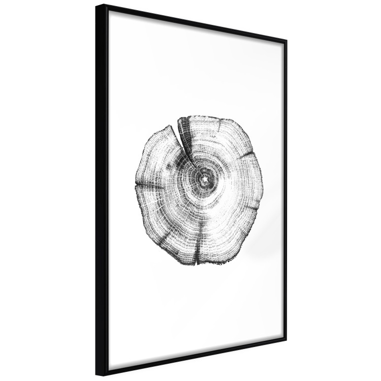 Poster Tree Bark - black and white simple composition with a plant motif 116612 additionalImage 10