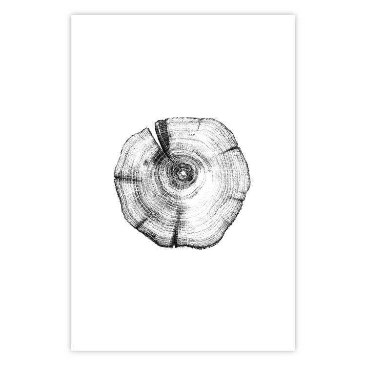 Poster Tree Bark - black and white simple composition with a plant motif 116612 additionalImage 16