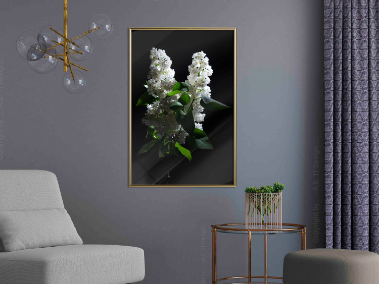 Wall Poster Lilacs at Night - composition of spring white flowers amidst deep black 121912 additionalImage 12