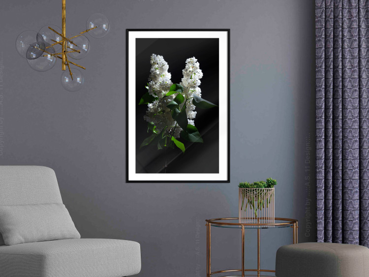 Wall Poster Lilacs at Night - composition of spring white flowers amidst deep black 121912 additionalImage 11