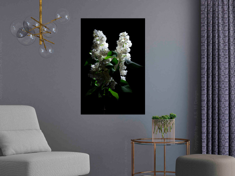 Wall Poster Lilacs at Night - composition of spring white flowers amidst deep black 121912 additionalImage 17