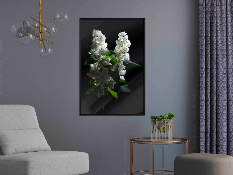 Wall Poster Lilacs at Night - composition of spring white flowers amidst deep black 121912 additionalImage 2