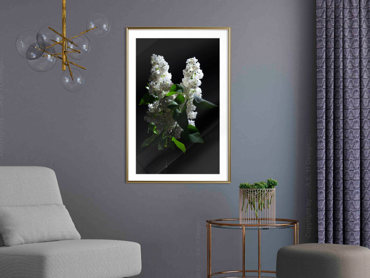 Wall Poster Lilacs at Night - composition of spring white flowers amidst deep black 121912 additionalImage 13