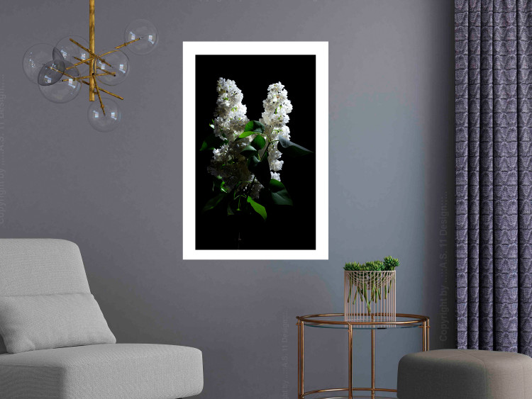 Wall Poster Lilacs at Night - composition of spring white flowers amidst deep black 121912 additionalImage 3