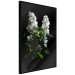 Wall Poster Lilacs at Night - composition of spring white flowers amidst deep black 121912 additionalThumb 9