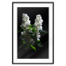 Wall Poster Lilacs at Night - composition of spring white flowers amidst deep black 121912 additionalThumb 15