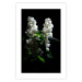 Wall Poster Lilacs at Night - composition of spring white flowers amidst deep black 121912 additionalThumb 19