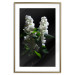 Wall Poster Lilacs at Night - composition of spring white flowers amidst deep black 121912 additionalThumb 14