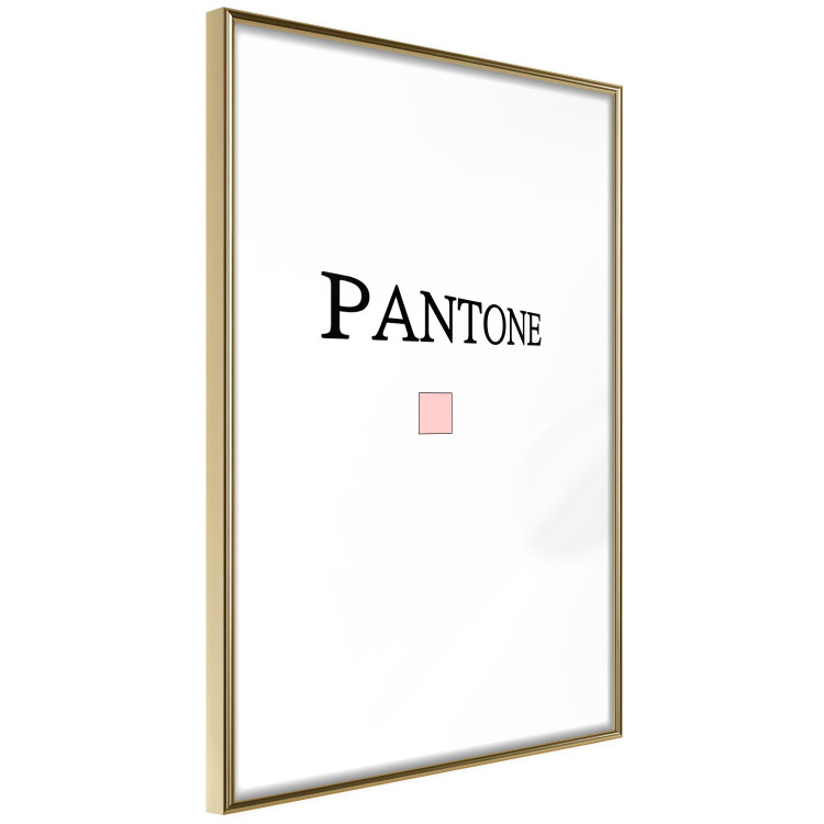 Wall Poster Pantone - black English text with a geometric figure on a white background 122812 additionalImage 8