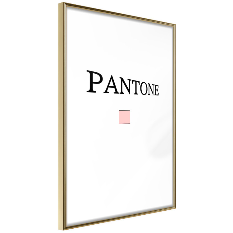 Wall Poster Pantone - black English text with a geometric figure on a white background 122812 additionalImage 14
