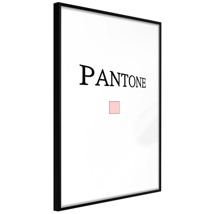 Wall Poster Pantone - black English text with a geometric figure on a white background 122812 additionalImage 10
