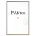 Wall Poster Pantone - black English text with a geometric figure on a white background 122812 additionalThumb 20
