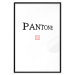 Wall Poster Pantone - black English text with a geometric figure on a white background 122812 additionalThumb 24