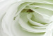 Canvas White rose buds - a composition with flowers and green accents 123212 additionalThumb 4