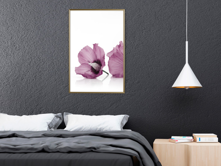 Wall Poster Close Together - plant with pink hibiscus flower on white background 123512 additionalImage 5