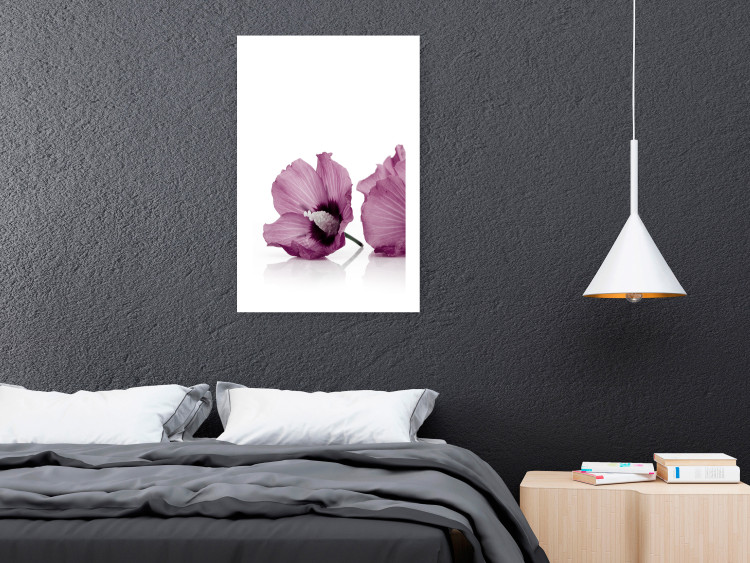 Wall Poster Close Together - plant with pink hibiscus flower on white background 123512 additionalImage 2