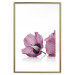 Wall Poster Close Together - plant with pink hibiscus flower on white background 123512 additionalThumb 14