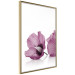 Wall Poster Close Together - plant with pink hibiscus flower on white background 123512 additionalThumb 12