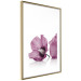 Wall Poster Close Together - plant with pink hibiscus flower on white background 123512 additionalThumb 6