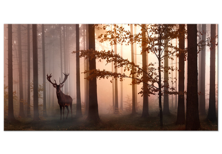 Large canvas print Morning (Brown) II [Large Format] 125612