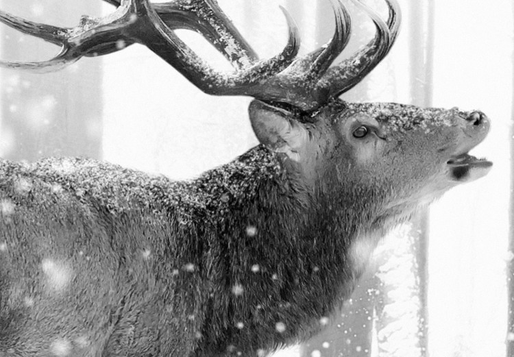 Photo Wallpaper Deer in the Snow (Black and White) 126812 additionalImage 4