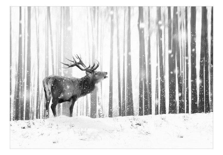 Photo Wallpaper Deer in the Snow (Black and White) 126812 additionalImage 1