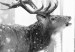 Photo Wallpaper Deer in the Snow (Black and White) 126812 additionalThumb 4