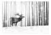 Photo Wallpaper Deer in the Snow (Black and White) 126812 additionalThumb 1