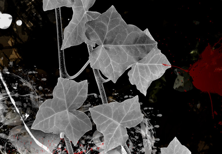 Canvas Grey leaves on black wall - abstraction with a red accent 127112 additionalImage 5