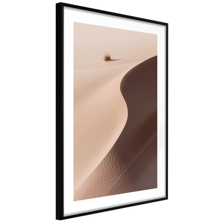 Poster Serpentine - serene landscape of sand dunes in the desert against brown grass 129512 additionalImage 6