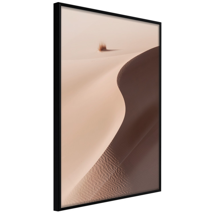 Poster Serpentine - serene landscape of sand dunes in the desert against brown grass 129512 additionalImage 13