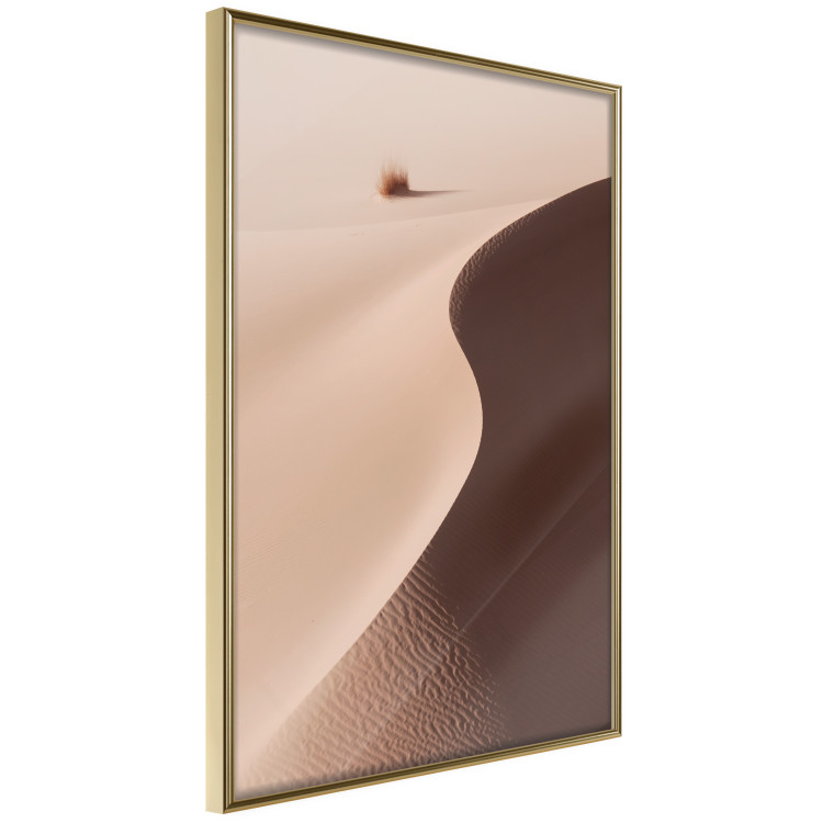Poster Serpentine - serene landscape of sand dunes in the desert against brown grass 129512 additionalImage 12